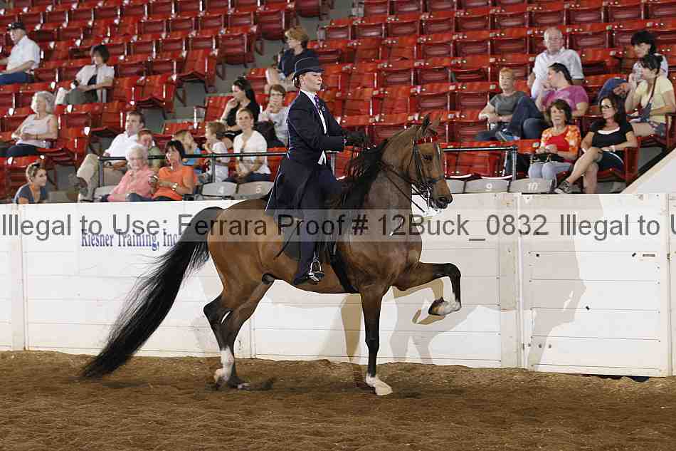 Proof 12buck_0832