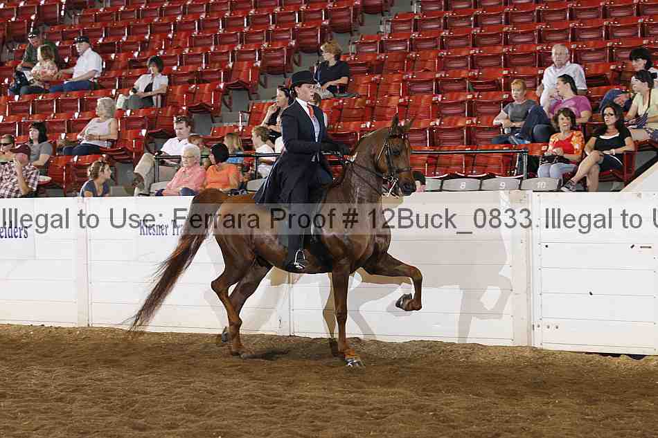 Proof 12buck_0833