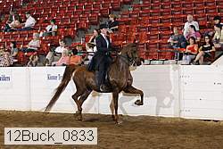 12buck_0833 proof