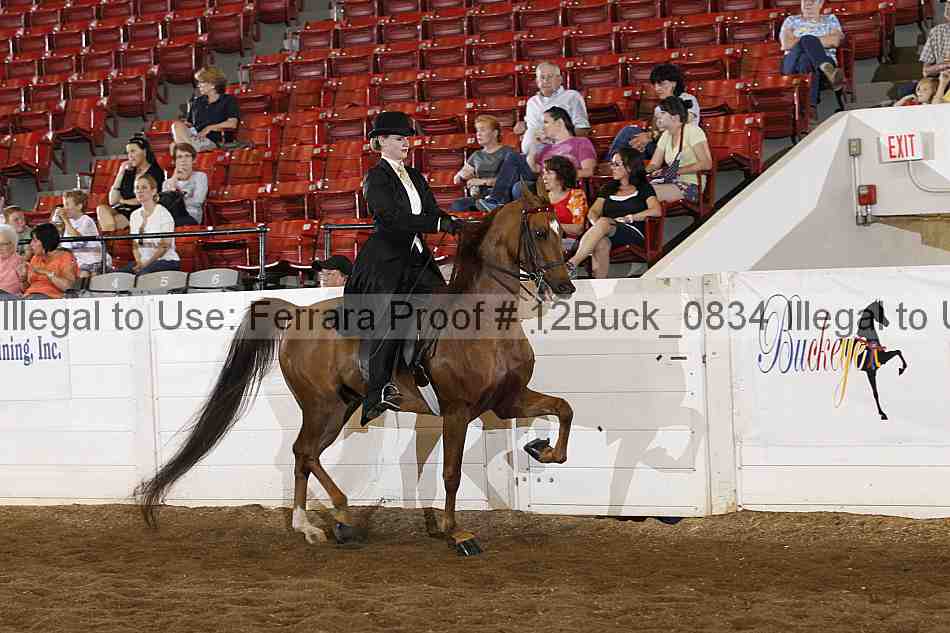Proof 12buck_0834