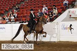 12buck_0834 proof