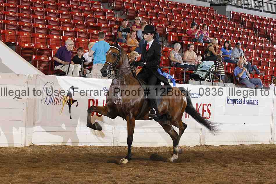 Proof 12buck_0836