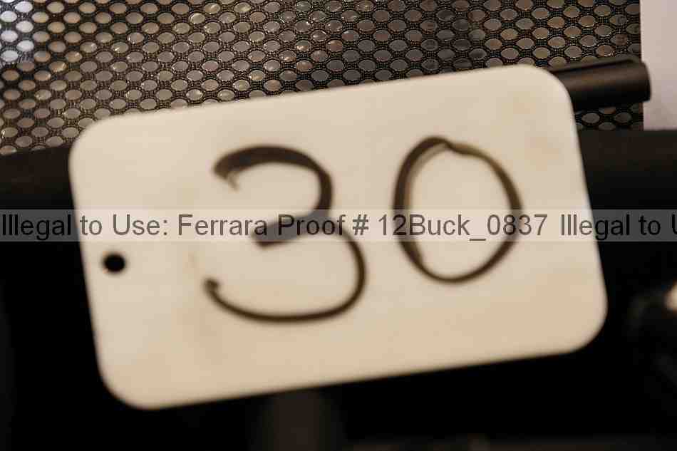 Proof 12buck_0837