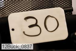 12buck_0837 proof