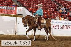 12buck_0839 proof