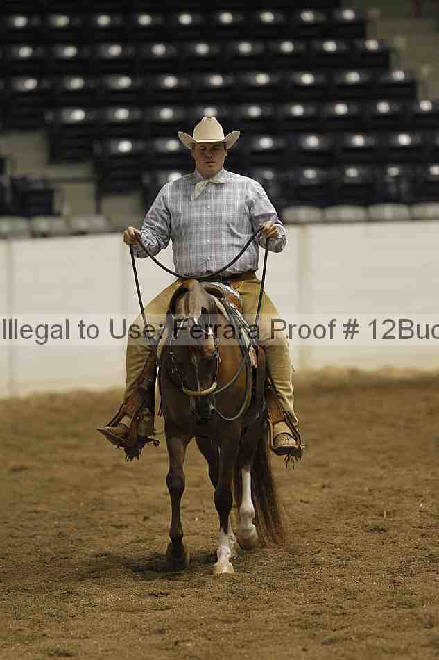 Proof 12buck_0844