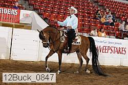 12buck_0847 proof
