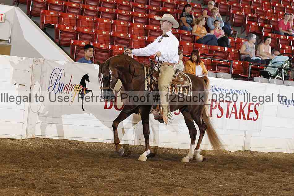 Proof 12buck_0850