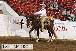 12buck_0850 proof