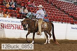 12buck_0852 proof