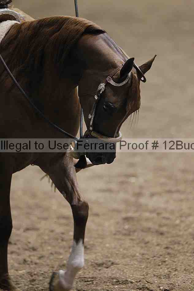 Proof 12buck_0859