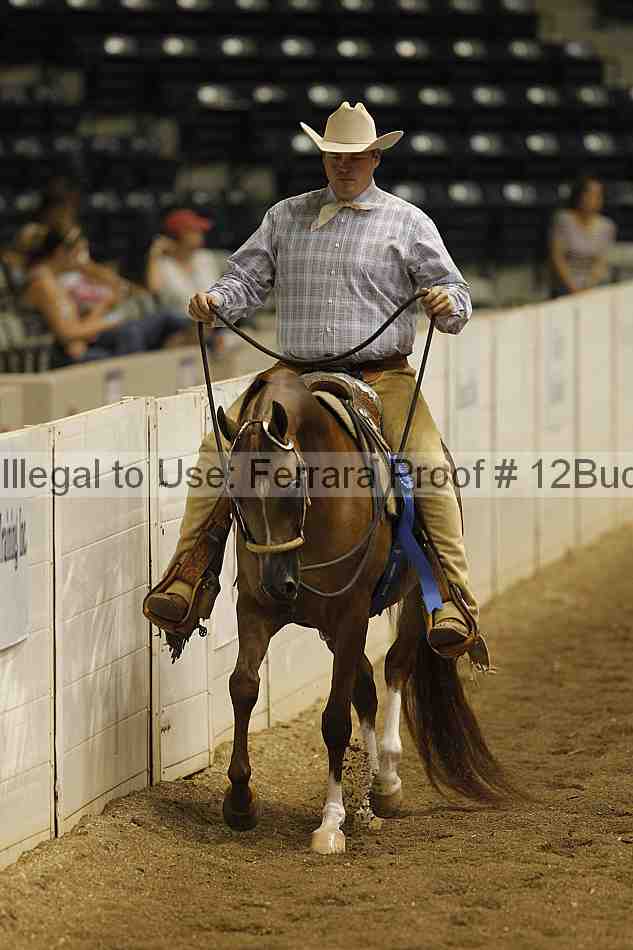 Proof 12buck_0865