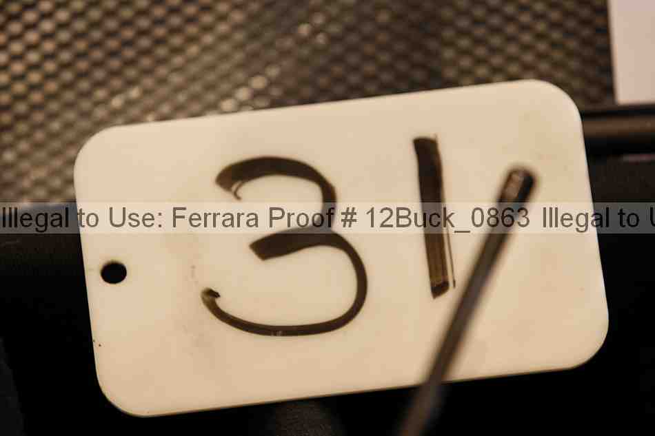 Proof 12buck_0863