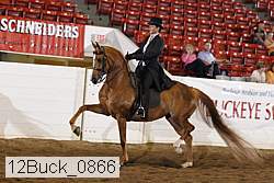 12buck_0866 proof