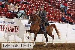 12buck_0867 proof