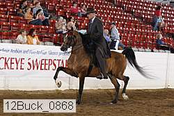 12buck_0868 proof