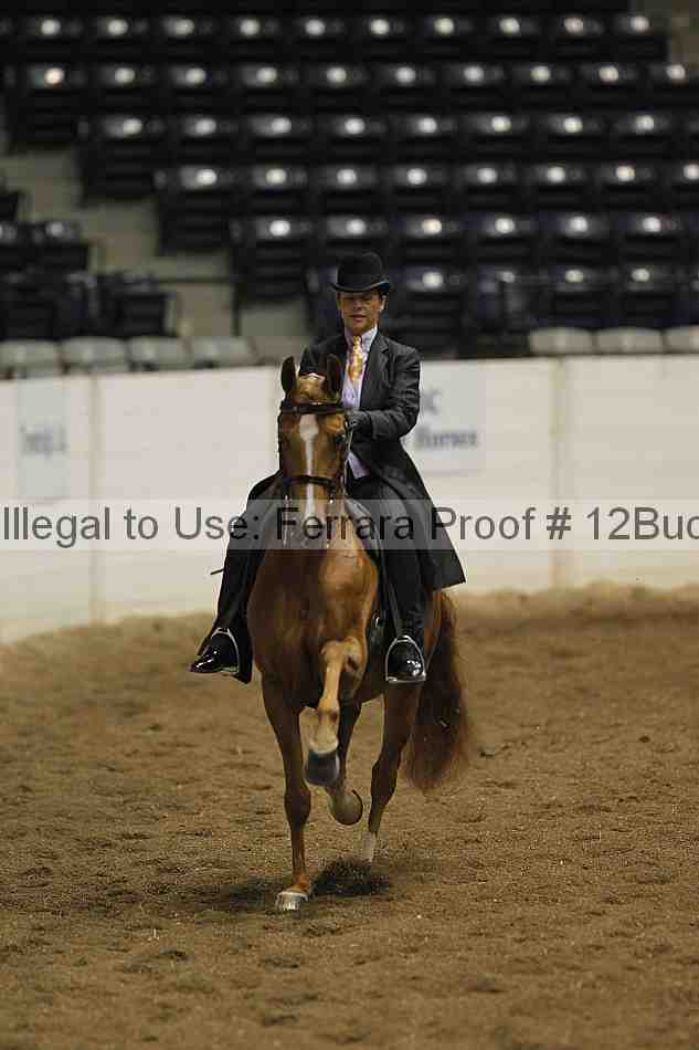 Proof 12buck_0870