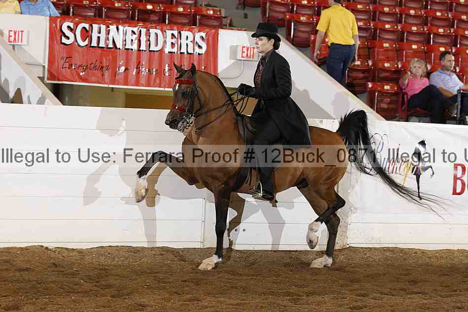 Proof 12buck_0871