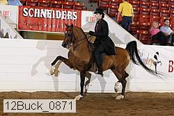 12buck_0871 proof