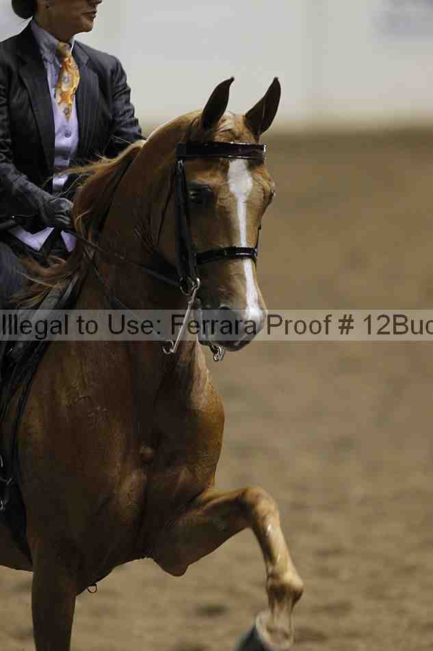 Proof 12buck_0872