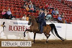 12buck_0873 proof