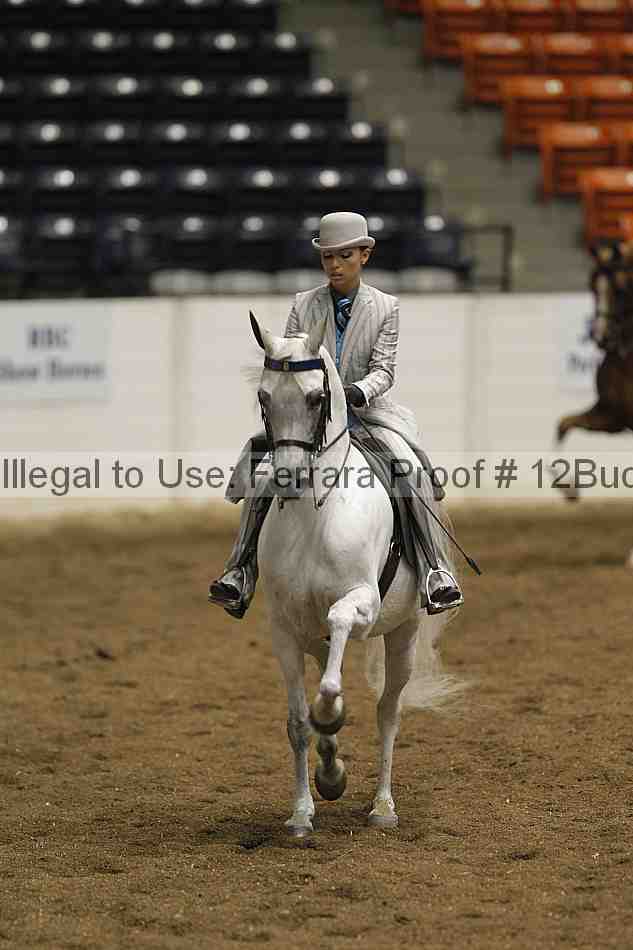 Proof 12buck_0874