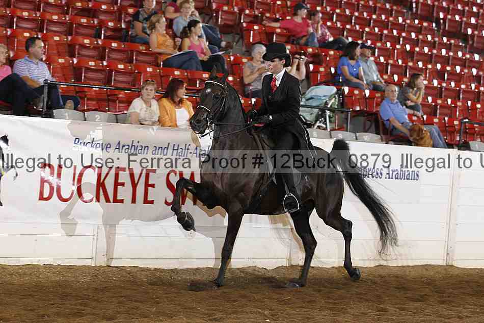 Proof 12buck_0879
