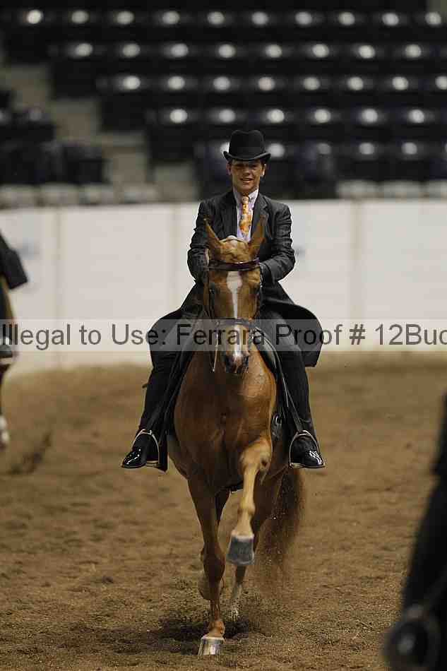 Proof 12buck_0881
