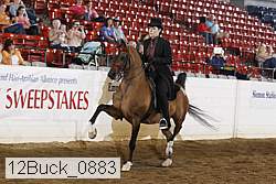 12buck_0883 proof