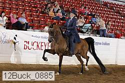 12buck_0885 proof