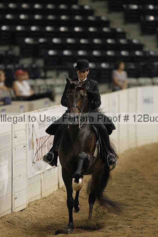 Proof 12buck_0887