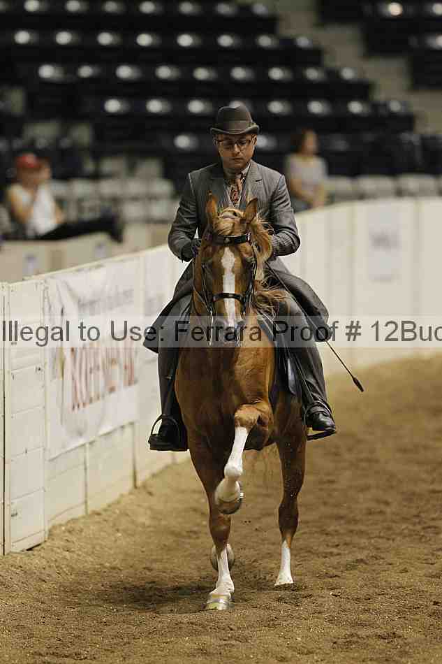 Proof 12buck_0888