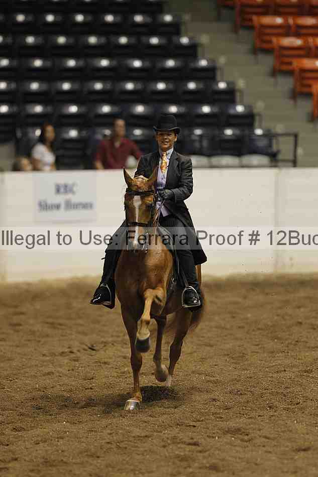 Proof 12buck_0890