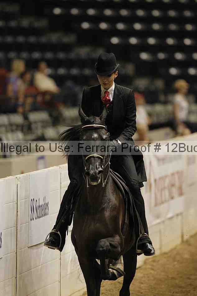 Proof 12buck_0893