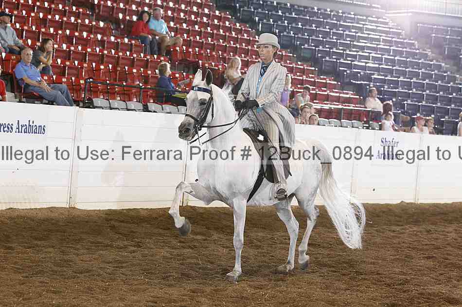 Proof 12buck_0894