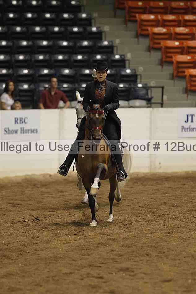 Proof 12buck_0895