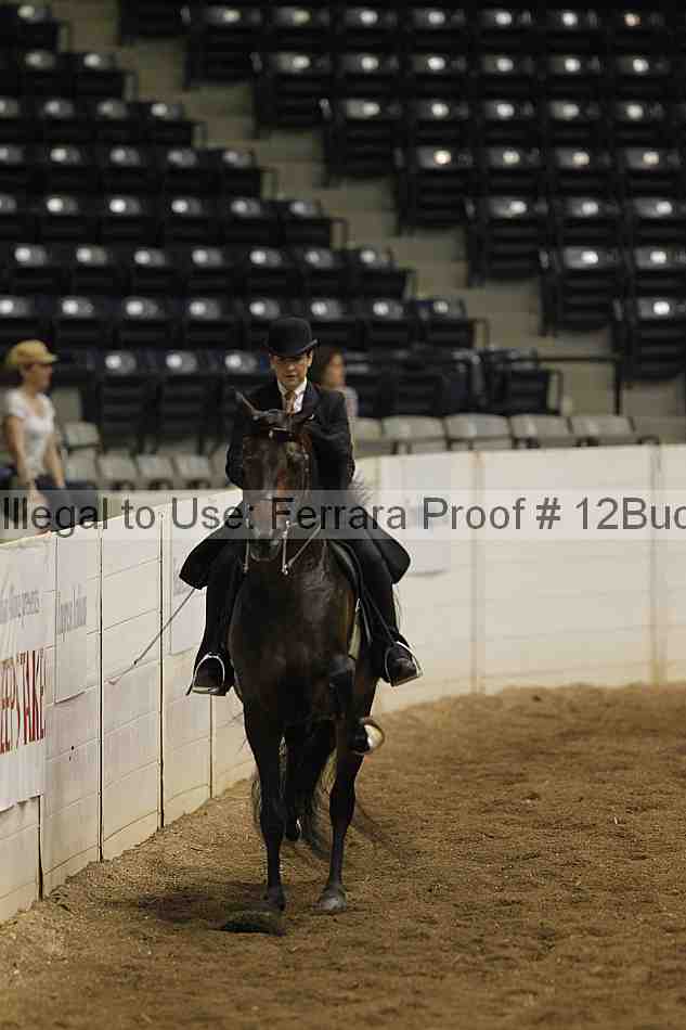 Proof 12buck_0896