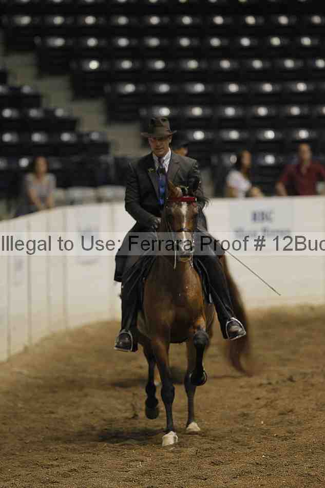 Proof 12buck_0897