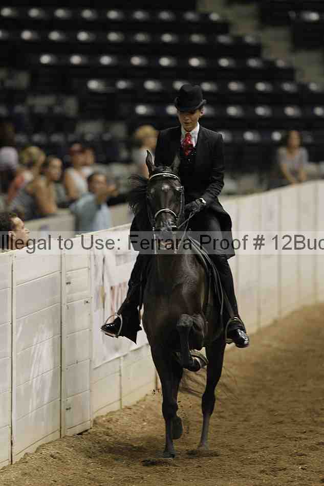 Proof 12buck_0899