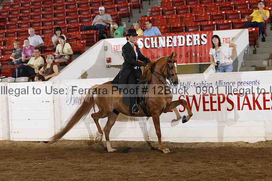 Proof 12buck_0901