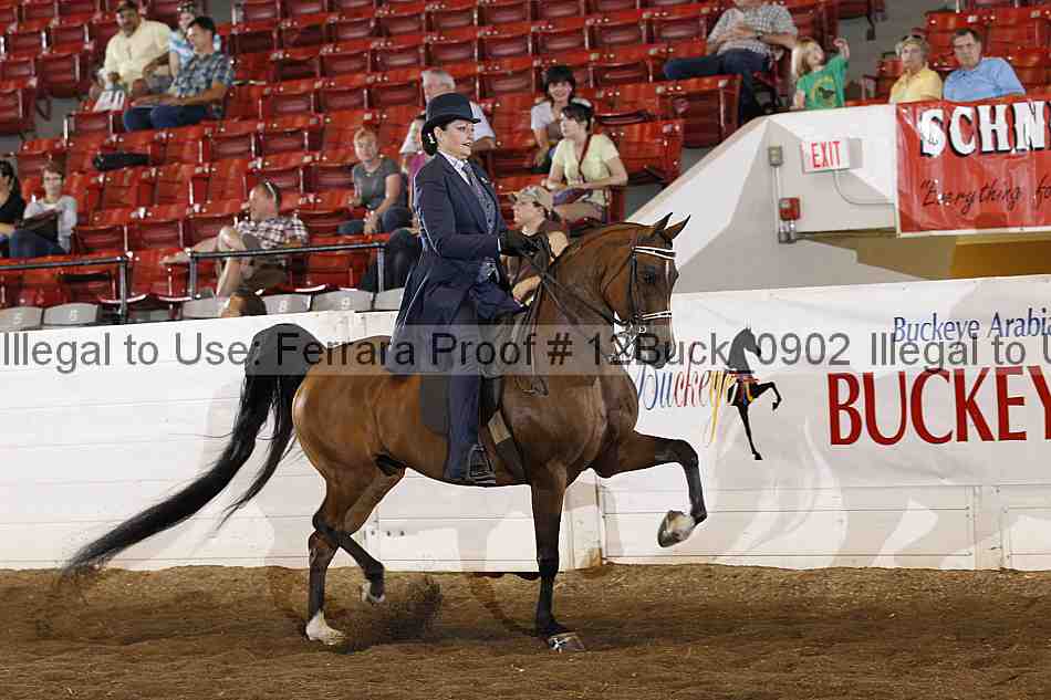 Proof 12buck_0902