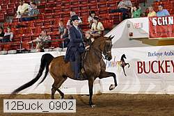 12buck_0902 proof