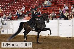 12buck_0903 proof
