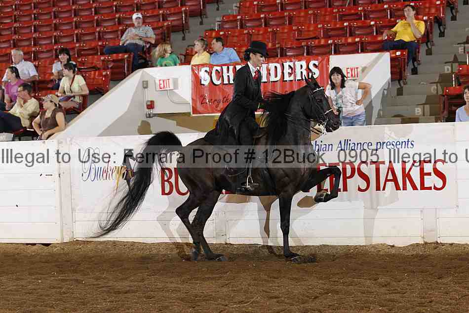 Proof 12buck_0905