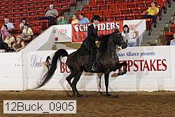 12buck_0905 proof