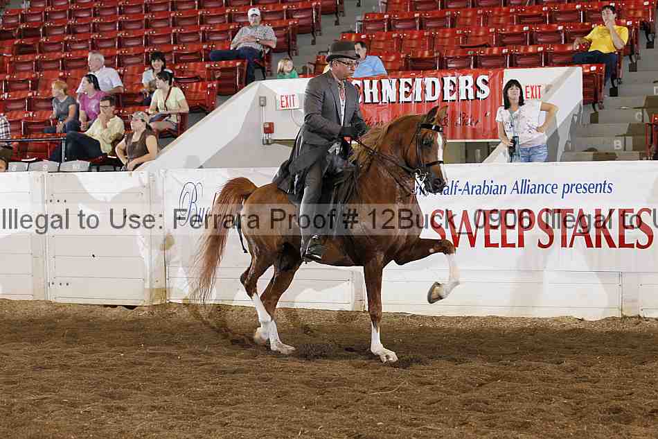 Proof 12buck_0906