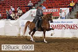 12buck_0906 proof