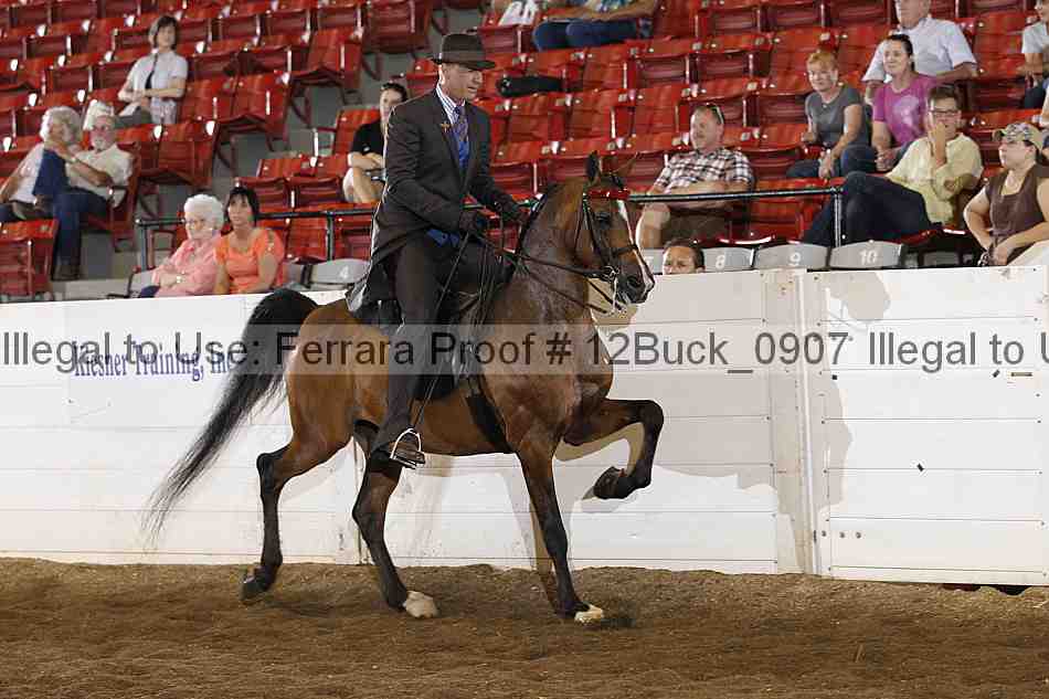 Proof 12buck_0907