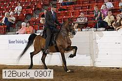 12buck_0907 proof