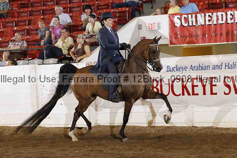Proof 12buck_0908